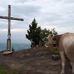 Сasa de vacaciones Alte Schreinerei Decent Jungholz