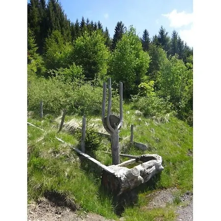 Alte Schreinerei Comfortable Jungholz