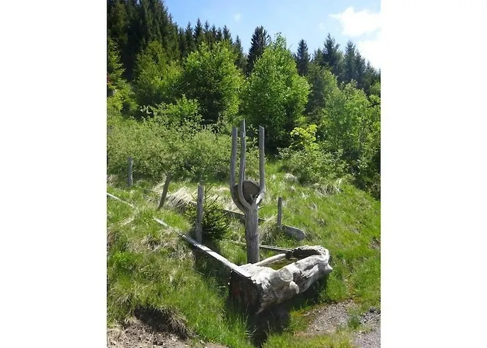 Alte Schreinerei Comfortable Jungholz