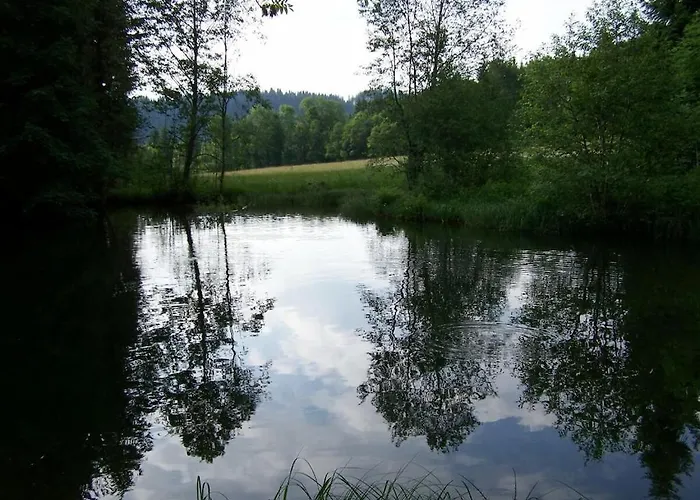 Alte Schreinerei Comfortable Vakantiehuis Jungholz