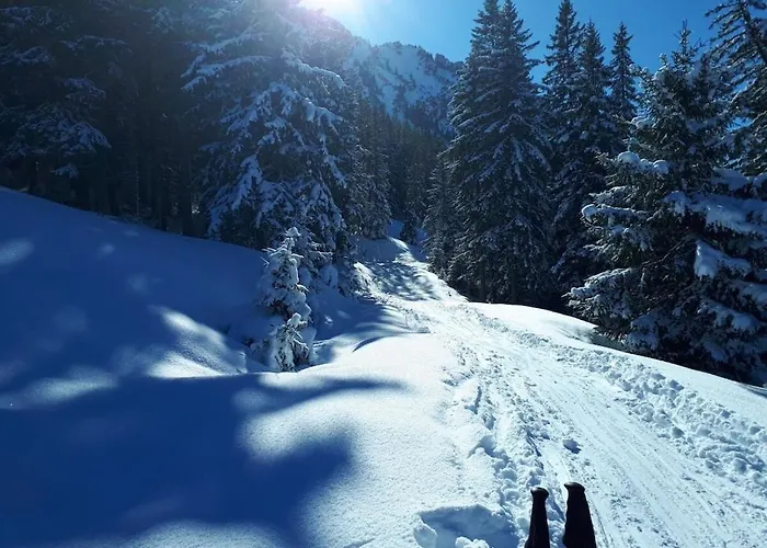 Alte Schreinerei Comfortable Vakantiehuis *